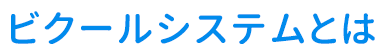 ビクールシステムとは