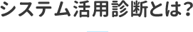 システム活用診断とは？